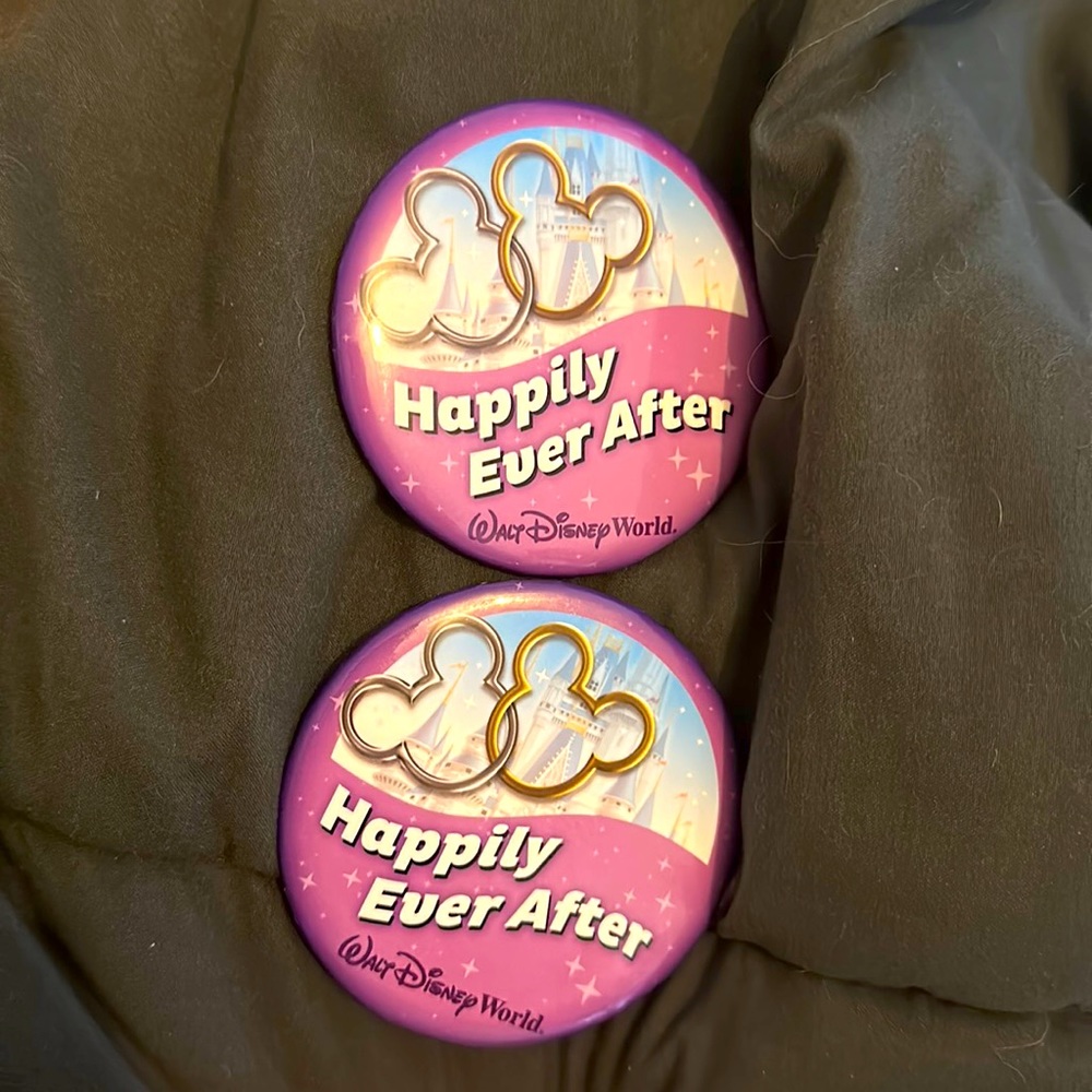 Disney World Happily Ever After Button Pins